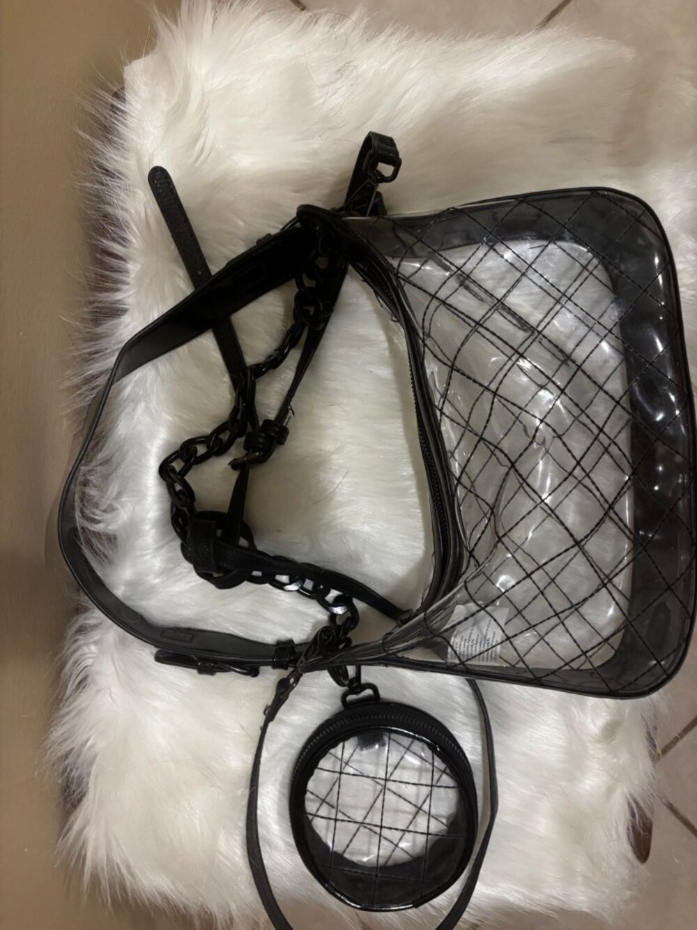 Clear Steve Madden Purse